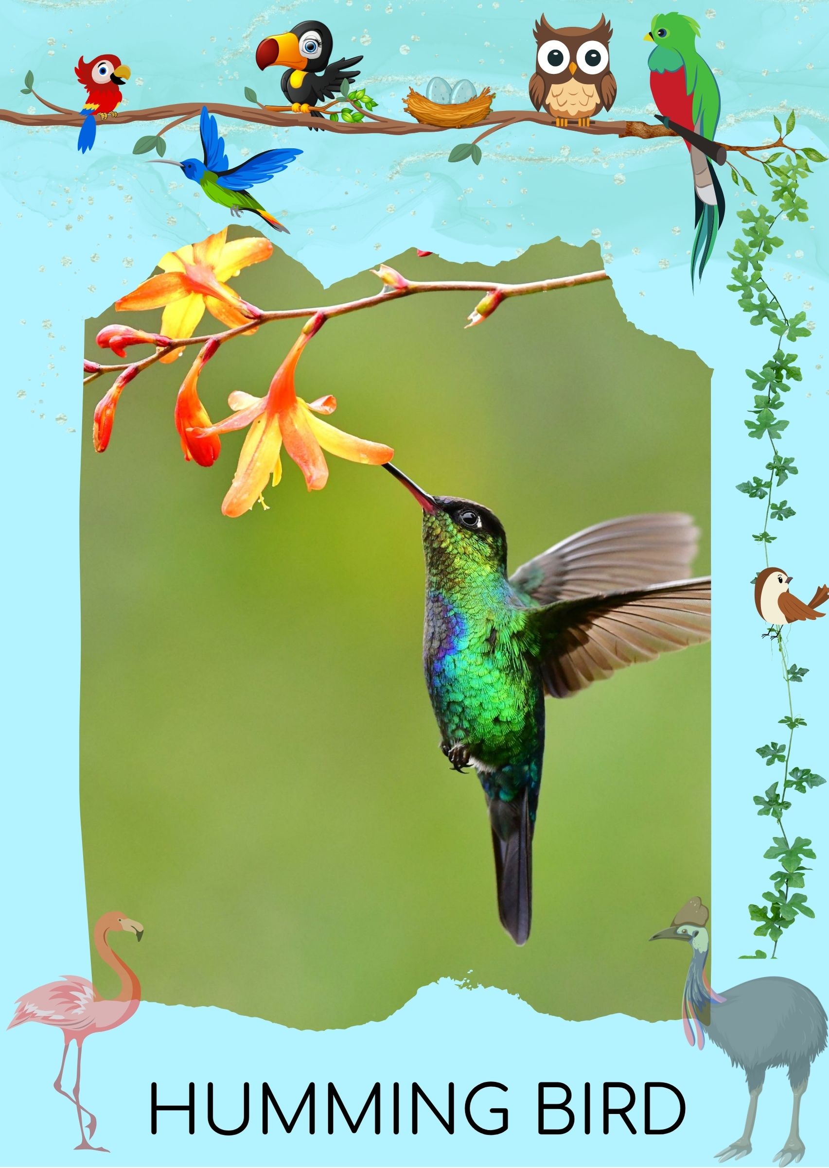 Bird 2 Front